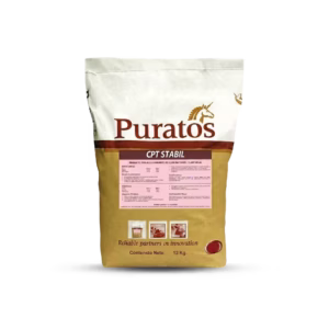 CEPETE (Crema Pastelera en Caliente)