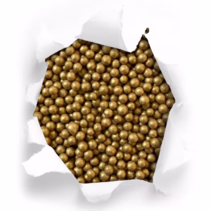 PERLA NACARADA ORO OAXACA