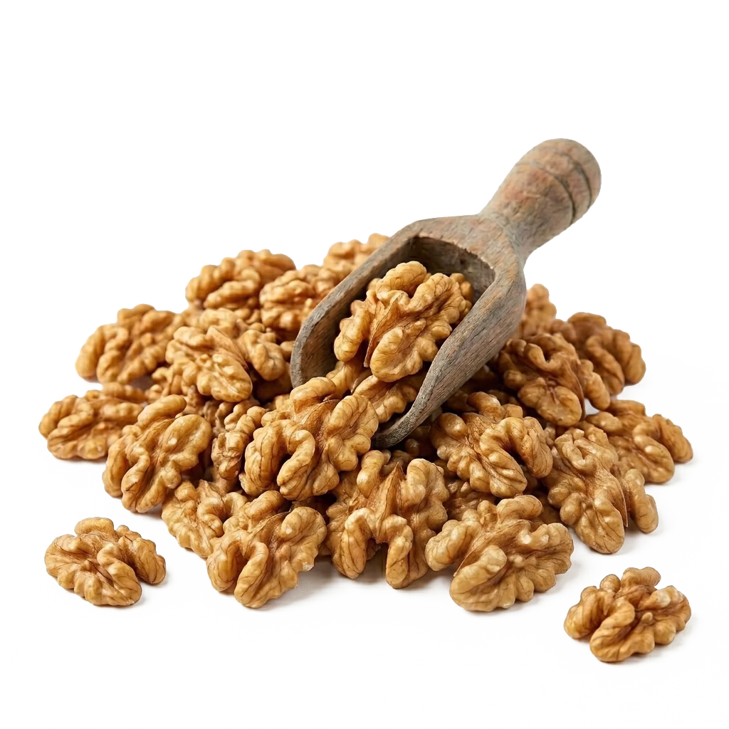 NUEZ CASTILLA
